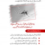 dengue 3